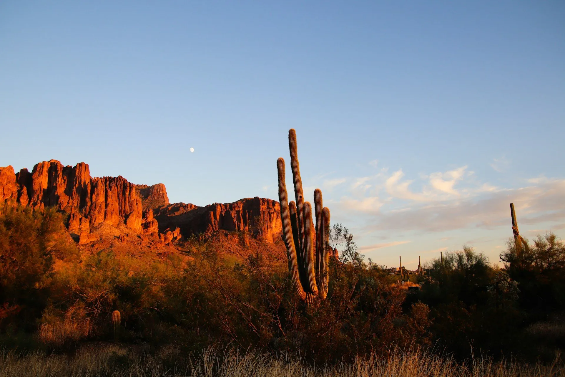 Fireside at Desert Ridge, Phoenix