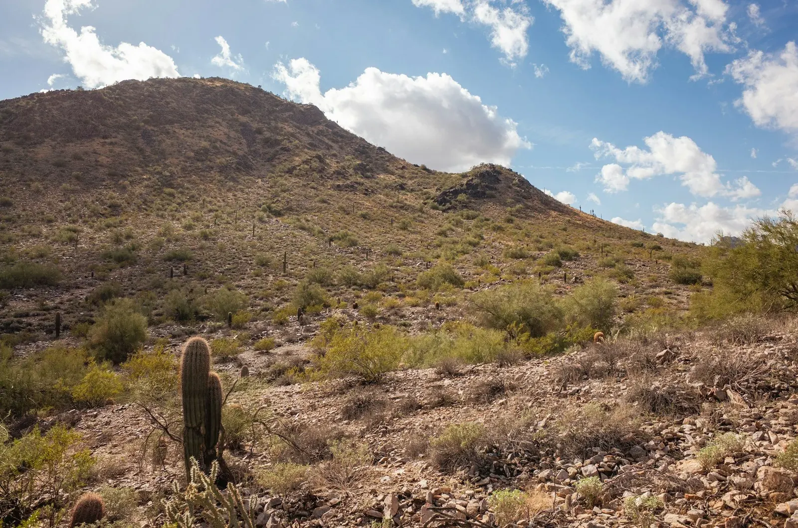 North Scottsdale, Arizona